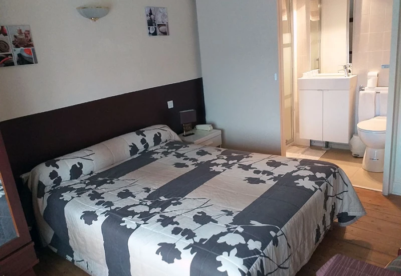 Le Lion Dor Hotel Restaurant A Salbris Hotel